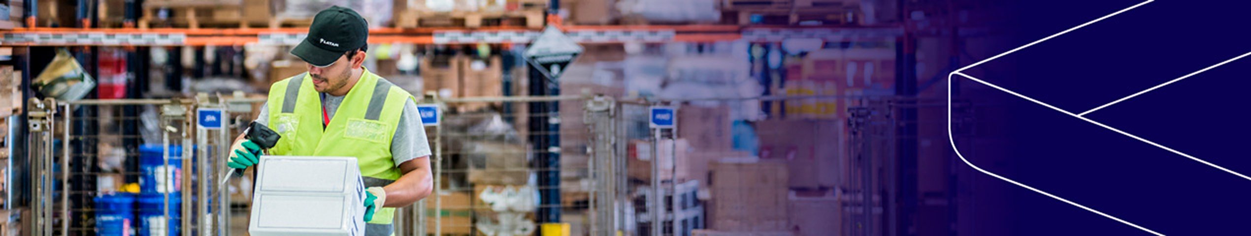 Domestic general cargo handled by LATAM Cargo